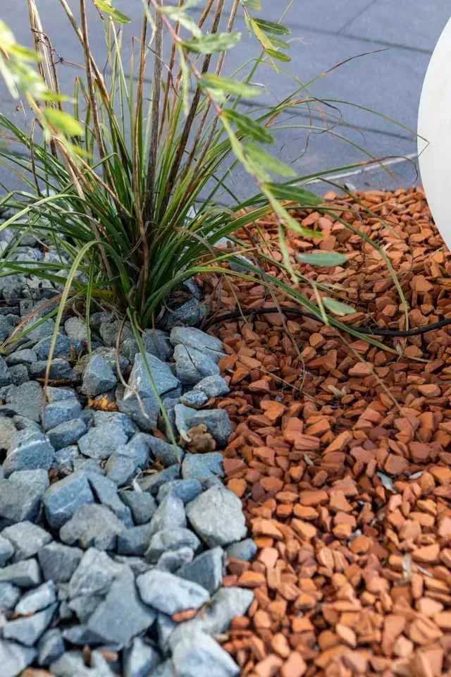 devanture jardin (3)