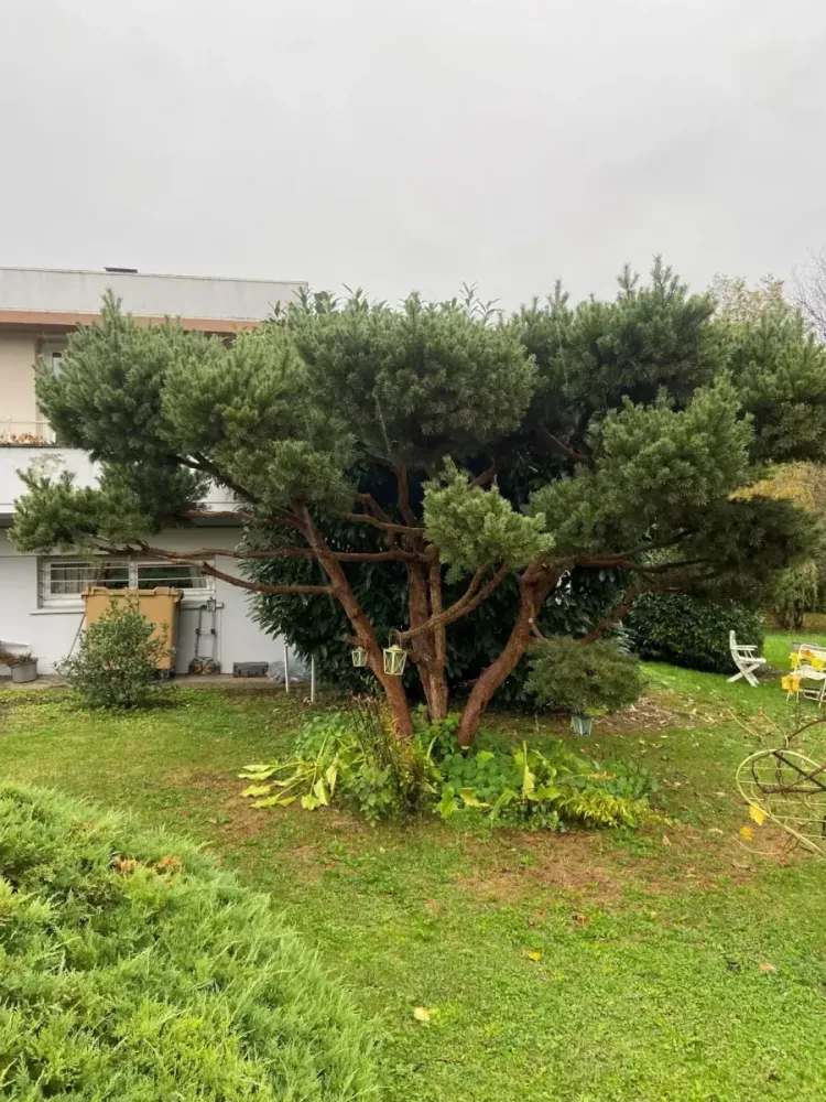 amenagement de jardins (4)