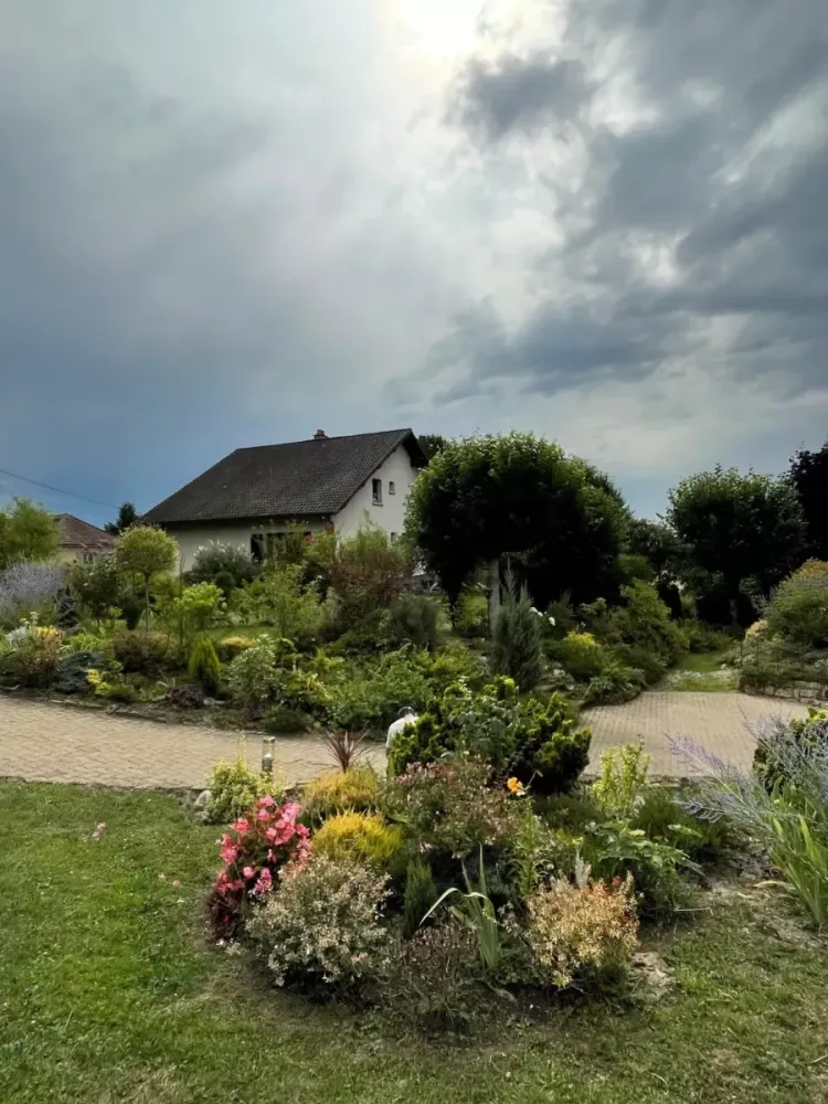 amenagement de jardins (7)