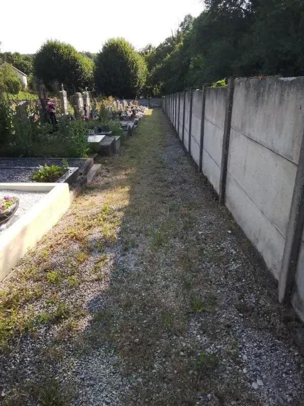 nettoyage jardin (3)