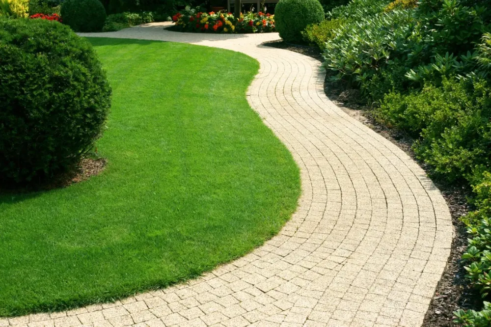 espace vert avec dalles